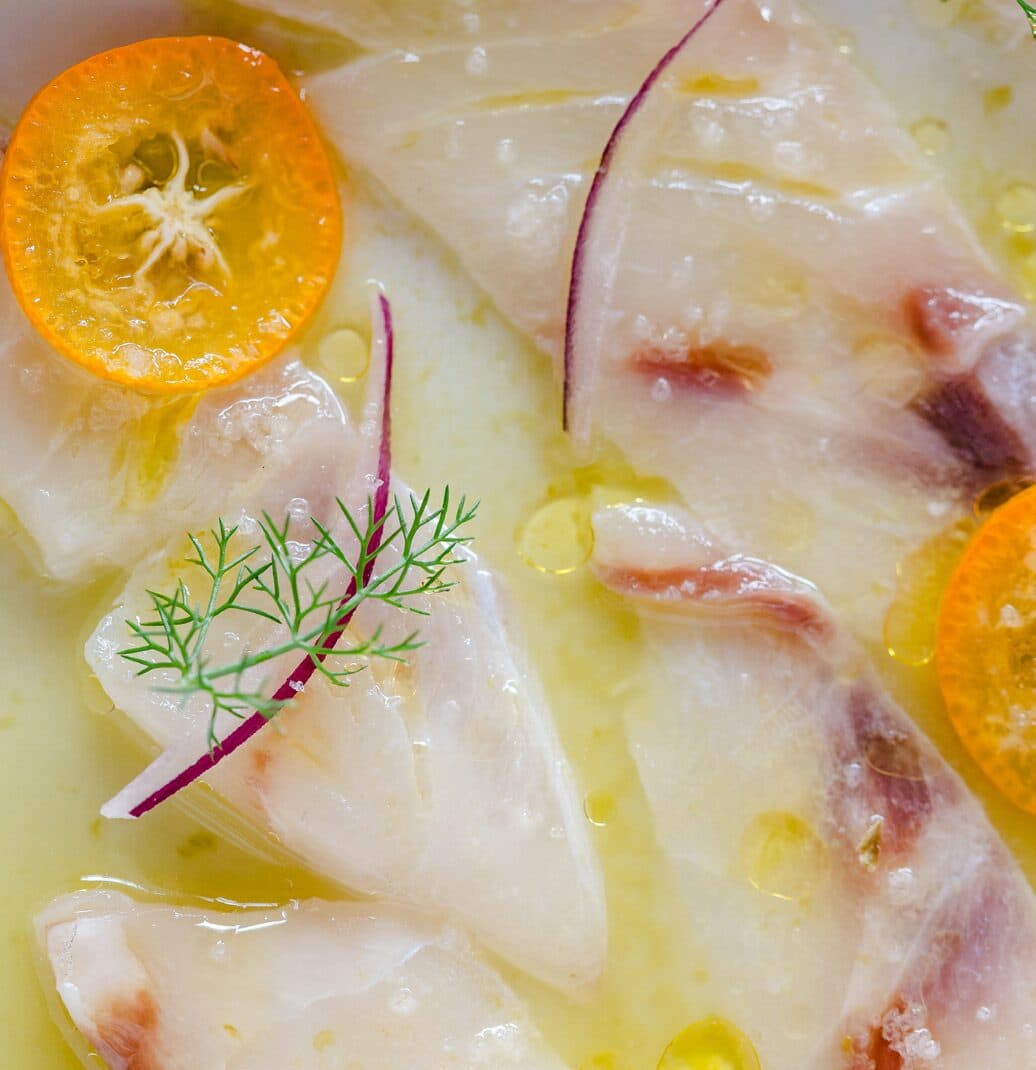 Aquachile de peixe branco